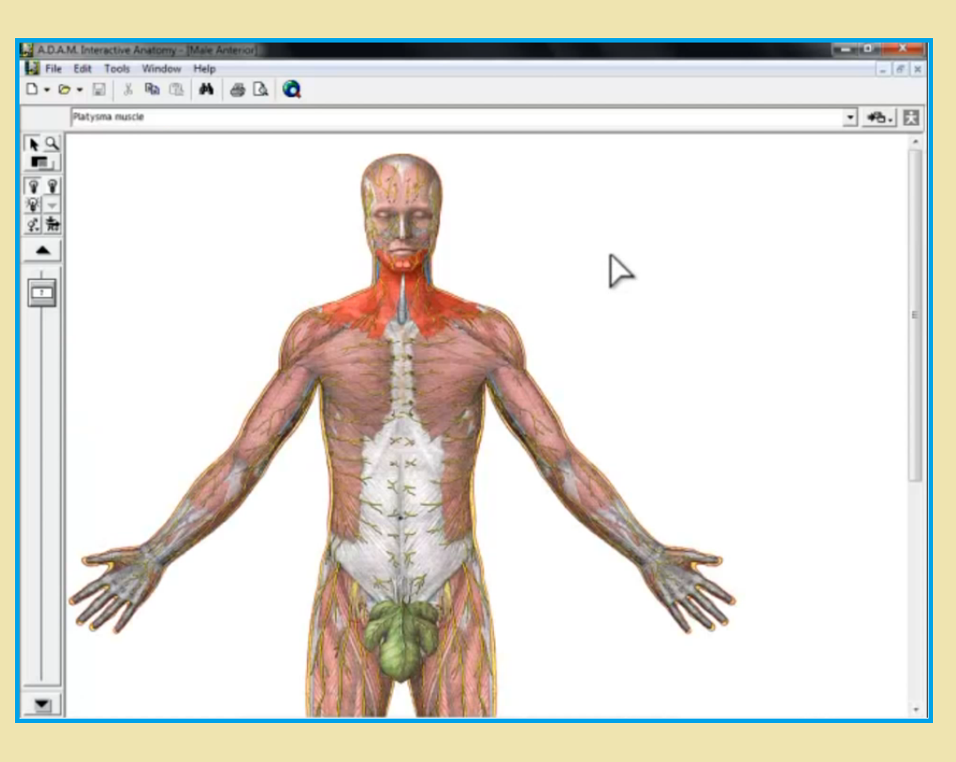 complete anatomy software